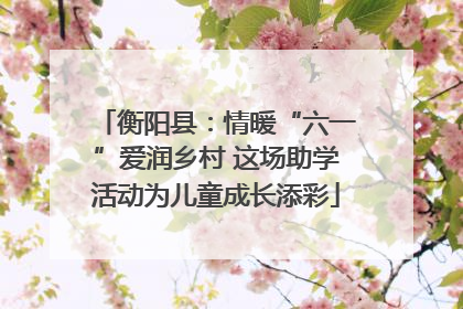 衡阳县：情暖“六一”爱润乡村 这场助学活动为儿童成长添彩