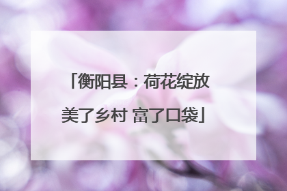 衡阳县：荷花绽放 美了乡村 富了口袋