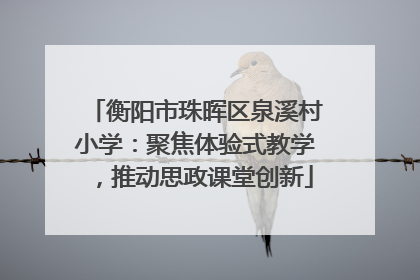 衡阳市珠晖区泉溪村小学：聚焦体验式教学，推动思政课堂创新