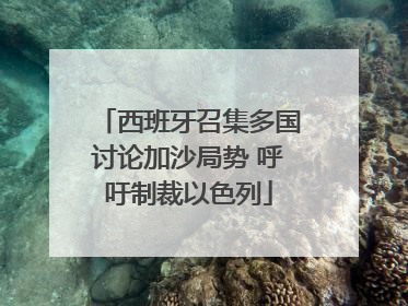 西班牙召集多国讨论加沙局势 呼吁制裁以色列