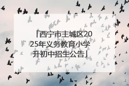 西宁市主城区2025年义务教育小学升初中招生公告