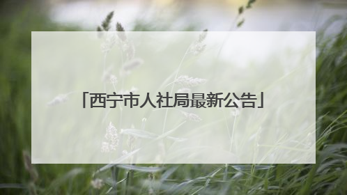 西宁市人社局最新公告