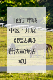 西宁市城中区：开展《民法典》普法宣传活动