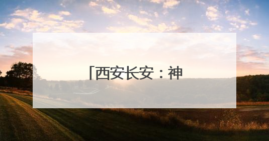 西安长安：神禾塬上麦收忙