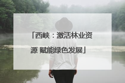 西峡：激活林业资源 赋能绿色发展