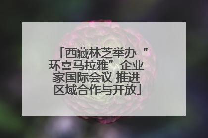 西藏林芝举办“环喜马拉雅”企业家国际会议 推进区域合作与开放