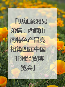 见证藏湘兄弟情：西藏山南特色产品亮相第四届中国-非洲经贸博览会
