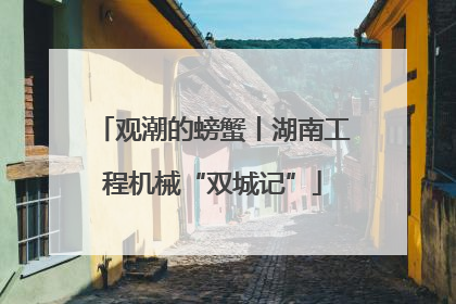 观潮的螃蟹丨湖南工程机械“双城记”