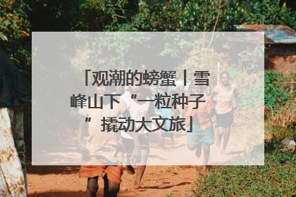 观潮的螃蟹丨雪峰山下“一粒种子”撬动大文旅