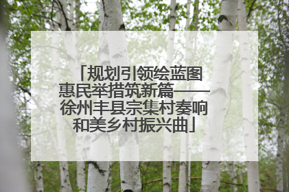 规划引领绘蓝图 惠民举措筑新篇——徐州丰县宗集村奏响和美乡村振兴曲