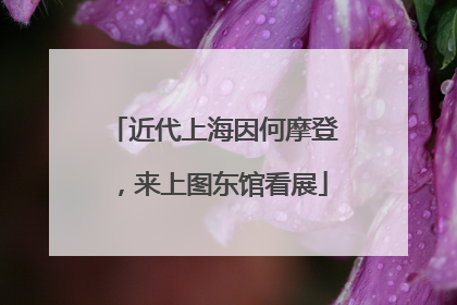 近代上海因何摩登，来上图东馆看展