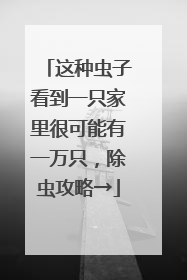 这种虫子看到一只家里很可能有一万只，除虫攻略→