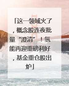 这一领域火了，概念股连夜批量“澄清”！氢能再迎重磅利好，基金重仓股出炉