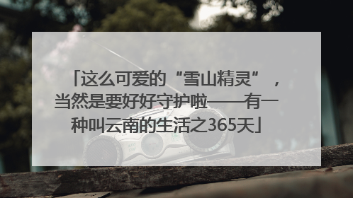 这么可爱的“雪山精灵”，当然是要好好守护啦——有一种叫云南的生活之365天