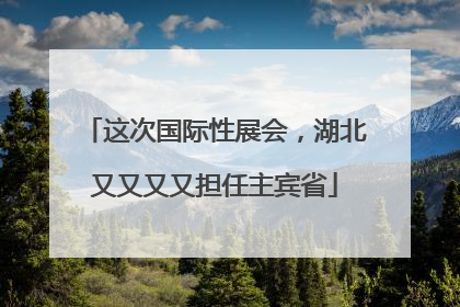 这次国际性展会，湖北又又又又担任主宾省