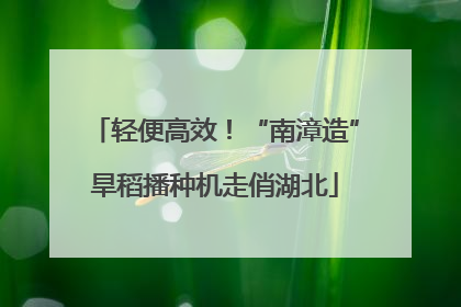 轻便高效！“南漳造”旱稻播种机走俏湖北