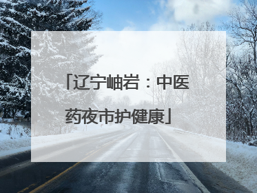 辽宁岫岩：中医药夜市护健康