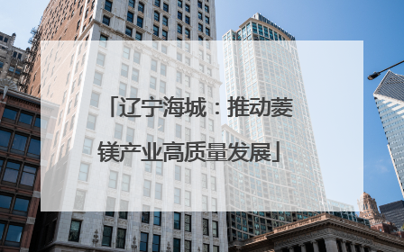 辽宁海城：推动菱镁产业高质量发展