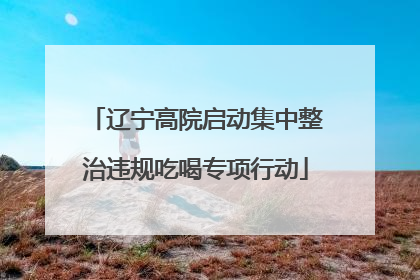 辽宁高院启动集中整治违规吃喝专项行动