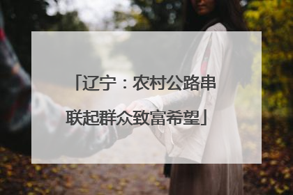 辽宁：农村公路串联起群众致富希望