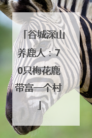谷城深山养鹿人：70只梅花鹿带富一个村