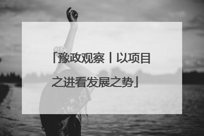 豫政观察丨以项目之进看发展之势