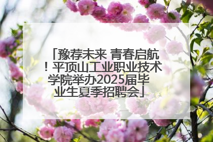 豫荐未来 青春启航！平顶山工业职业技术学院举办2025届毕业生夏季招聘会