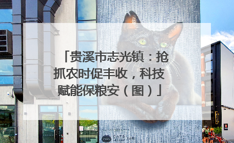 贵溪市志光镇：抢抓农时促丰收，科技赋能保粮安（图）