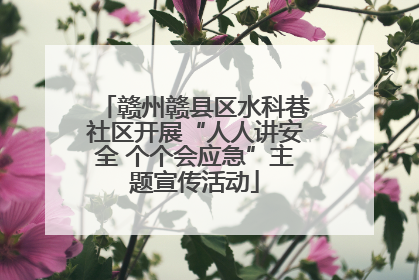 赣州赣县区水科巷社区开展“人人讲安全 个个会应急”主题宣传活动