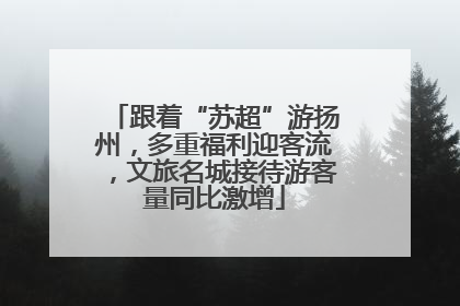 跟着“苏超”游扬州，多重福利迎客流，文旅名城接待游客量同比激增