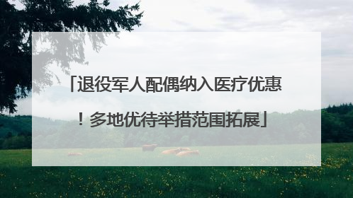 退役军人配偶纳入医疗优惠！多地优待举措范围拓展