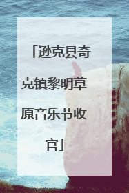 逊克县奇克镇黎明草原音乐节收官
