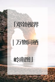 邓勃视界｜万物同栖岭南图