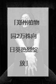 郑州植物园2万株向日葵热烈绽放