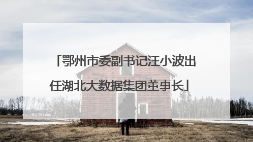 鄂州市委副书记汪小波出任湖北大数据集团董事长