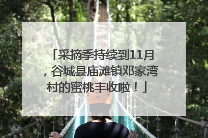 采摘季持续到11月，谷城县庙滩镇邓家湾村的蜜桃丰收啦！