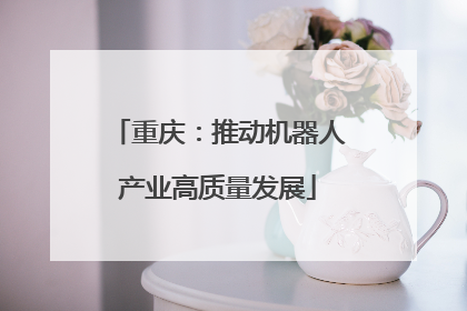 重庆：推动机器人产业高质量发展