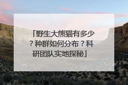 野生大熊猫有多少？种群如何分布？科研团队实地探秘