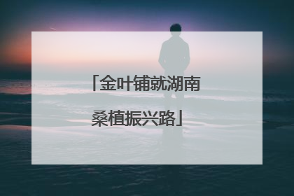 金叶铺就湖南桑植振兴路