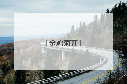 金鸡菊开