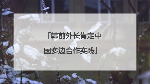 韩前外长肯定中国多边合作实践