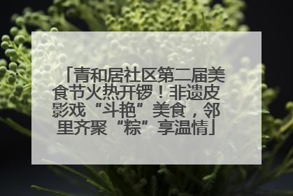 青和居社区第二届美食节火热开锣！非遗皮影戏“斗艳”美食，邻里齐聚“粽”享温情