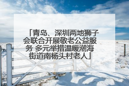 青岛、深圳两地狮子会联合开展敬老公益服务 多元举措温暖潮海街道南杨头村老人