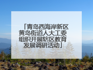 青岛西海岸新区黄岛街道人大工委组织开展辖区教育发展调研活动