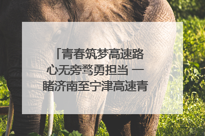 青春筑梦高速路 心无旁骛勇担当 一睹济南至宁津高速青年的young子