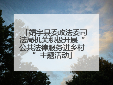 靖宇县委政法委司法局机关积极开展“公共法律服务进乡村”主题活动