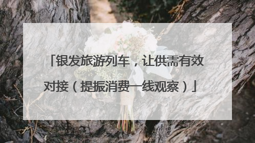 银发旅游列车，让供需有效对接（提振消费一线观察）