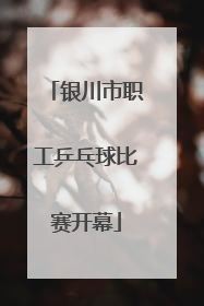 银川市职工乒乓球比赛开幕