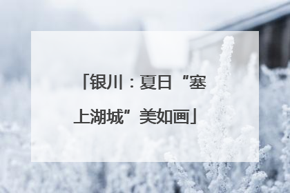 银川：夏日“塞上湖城”美如画