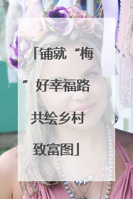 铺就“梅”好幸福路 共绘乡村致富图